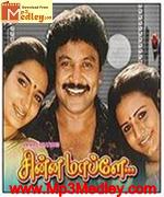 Chinna Mapillai 1993 song download